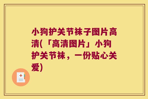 小狗护关节袜子图片高清(「高清图片」小狗护关节袜，一份贴心关爱)