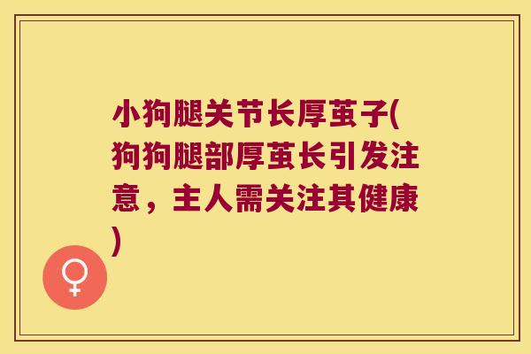 小狗腿关节长厚茧子(狗狗腿部厚茧长引发注意,主人需关注其健康)