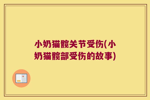 小奶猫髋关节受伤(小奶猫髋部受伤的故事)