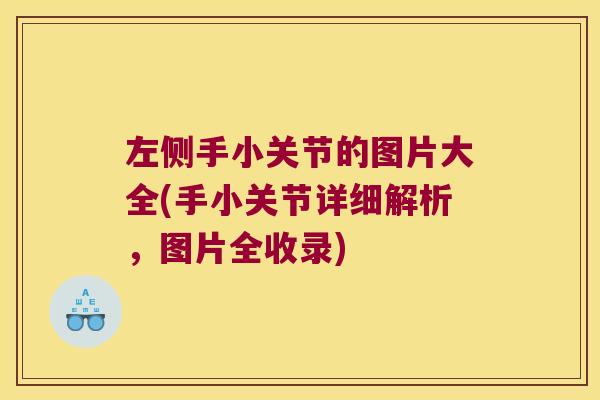 左侧手小关节的图片大全(手小关节详细解析,图片全收录)
