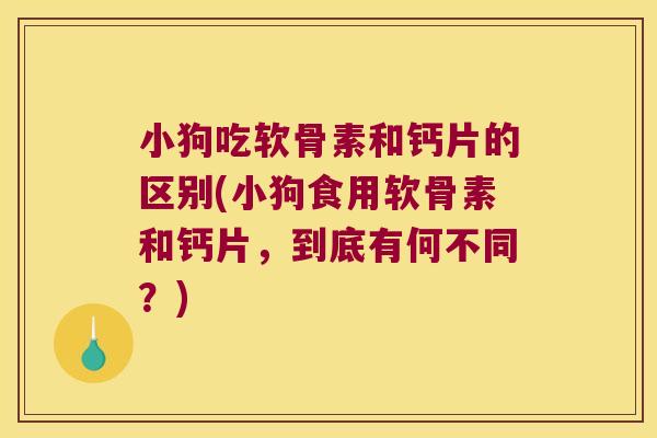 小狗吃软骨素和钙片的区别(小狗食用软骨素和钙片,到底有何不同?)