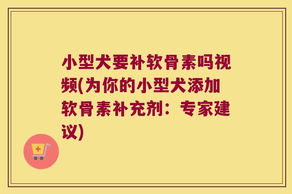 小型犬要补软骨素吗视频(为你的小型犬添加软骨素补充剂:专家建议)