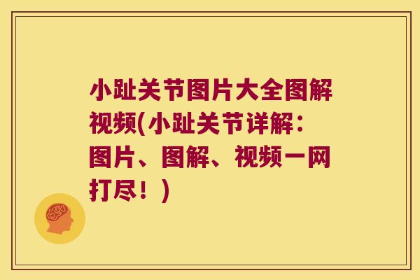 小趾关节图片大全图解视频(小趾关节详解:图片、图解、视频一网打尽!)