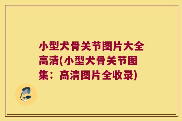 小型犬骨关节图片大全高清(小型犬骨关节图集:高清图片全收录)