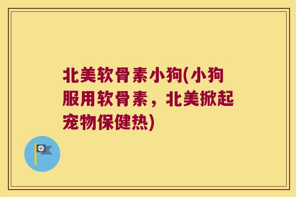 北美软骨素小狗(小狗服用软骨素,北美掀起宠物保健热)