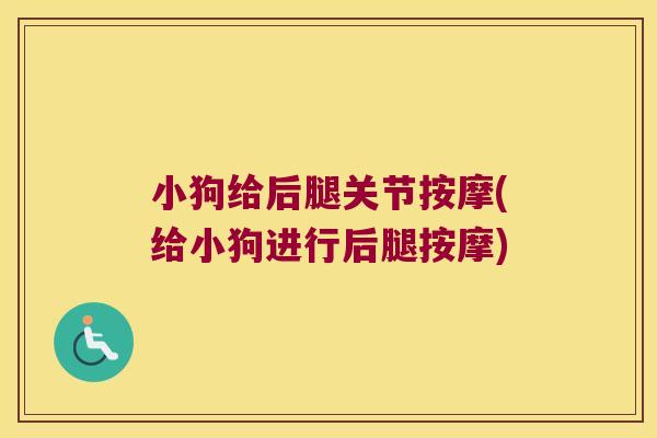 小狗给后腿关节按摩(给小狗进行后腿按摩)