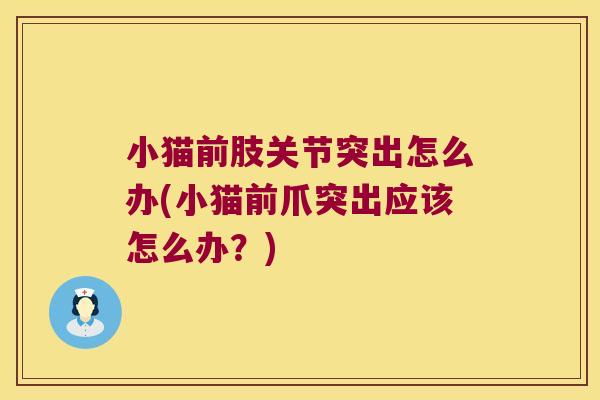小猫前肢关节突出怎么办(小猫前爪突出应该怎么办?)
