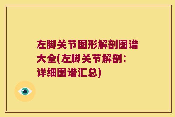 左脚关节图形解剖图谱大全(左脚关节解剖:详细图谱汇总)