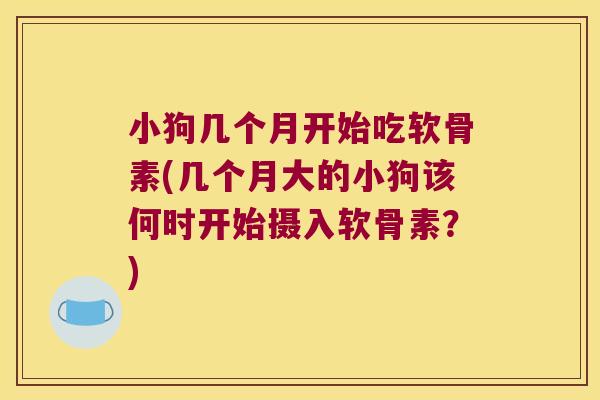 小狗几个月开始吃软骨素(几个月大的小狗该何时开始摄入软骨素?)