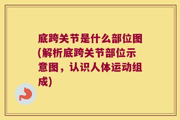 底跨关节是什么部位图(解析底跨关节部位示意图,认识人体运动组成)