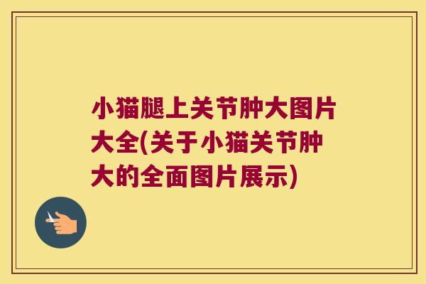小猫腿上关节肿大图片大全(关于小猫关节肿大的全面图片展示)