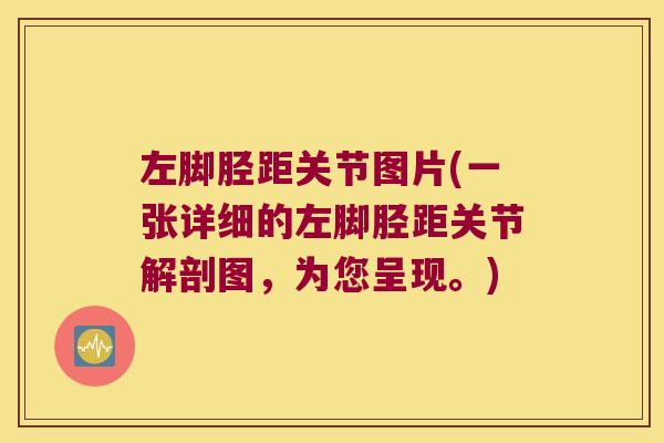 左脚胫距关节图片(一张详细的左脚胫距关节解剖图,为您呈现。)