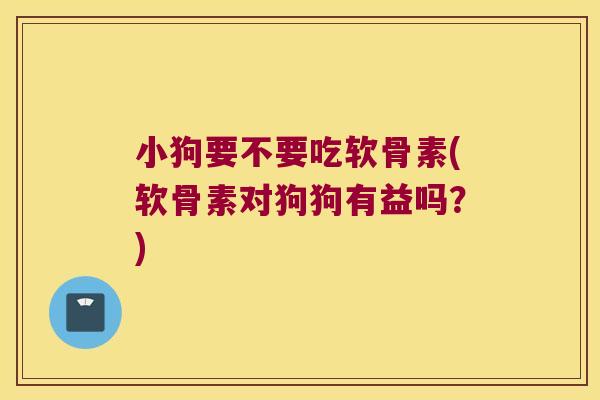 小狗要不要吃软骨素(软骨素对狗狗有益吗?)