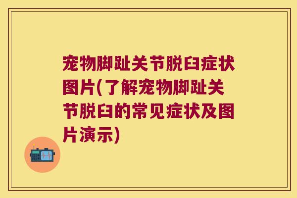 宠物脚趾关节脱臼症状图片(了解宠物脚趾关节脱臼的常见症状及图片演示)