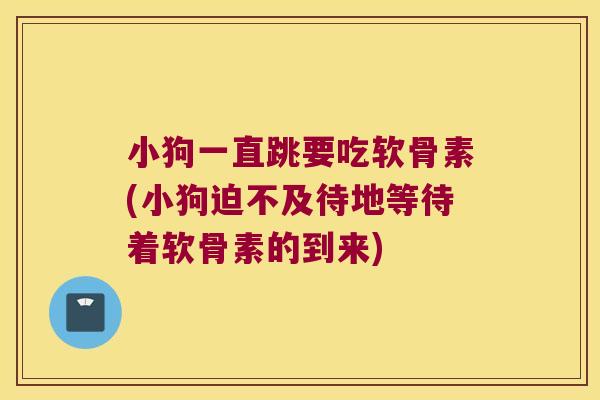 小狗一直跳要吃软骨素(小狗迫不及待地等待着软骨素的到来)