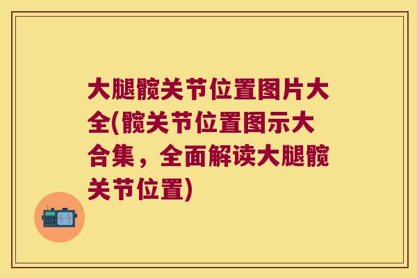 大腿髋关节位置图片大全(髋关节位置图示大合集,全面解读大腿髋关节位置)