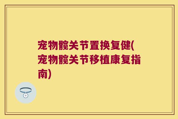 宠物髋关节置换复健(宠物髋关节移植康复指南)