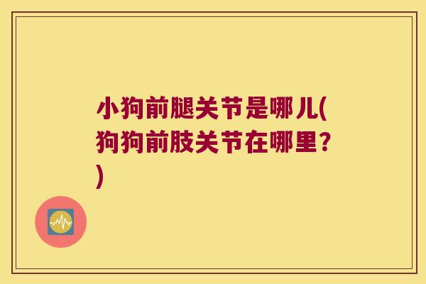 小狗前腿关节是哪儿(狗狗前肢关节在哪里?)