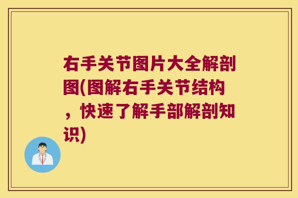 右手关节图片大全解剖图(图解右手关节结构,快速了解手部解剖知识)