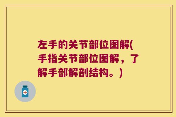 左手的关节部位图解(手指关节部位图解,了解手部解剖结构。)