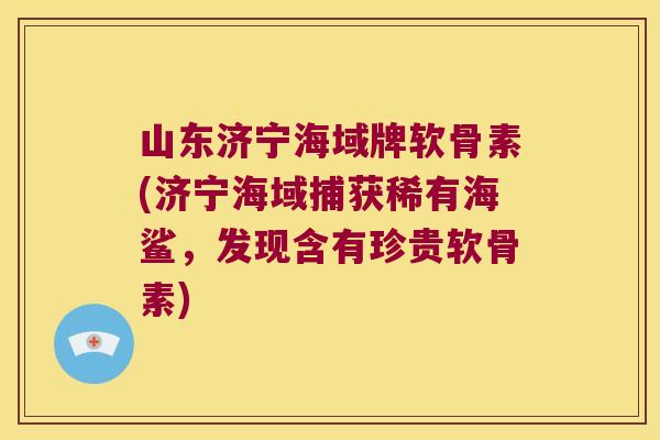 山东济宁海域牌软骨素(济宁海域捕获稀有海鲨,发现含有珍贵软骨素)