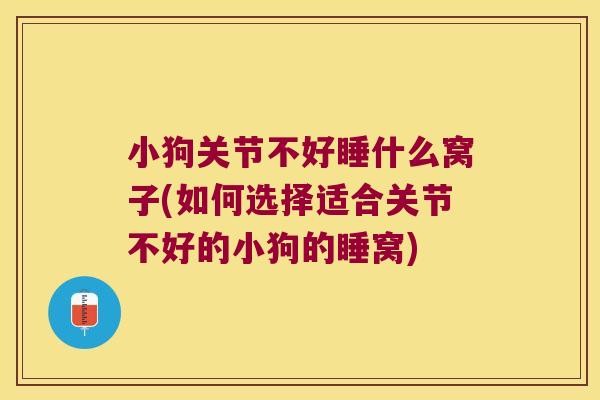 小狗关节不好睡什么窝子(如何选择适合关节不好的小狗的睡窝)