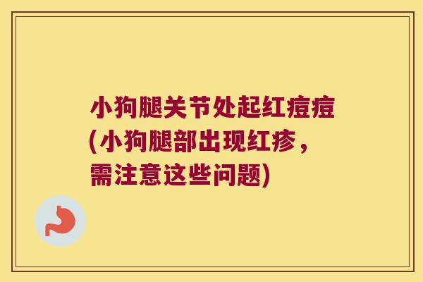 小狗腿关节处起红痘痘(小狗腿部出现红疹，需注意这些问题)