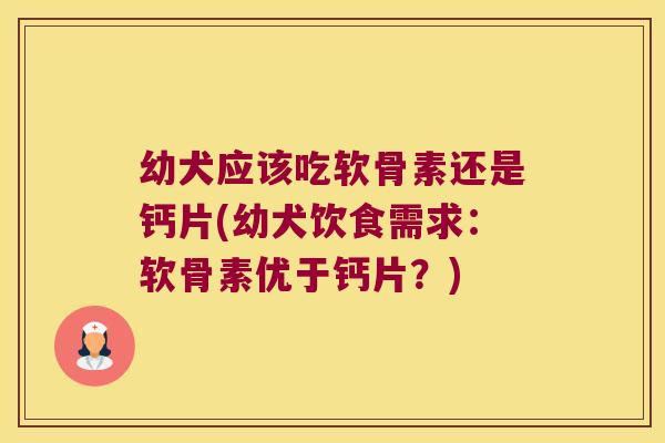 幼犬应该吃软骨素还是钙片(幼犬饮食需求:软骨素优于钙片?)