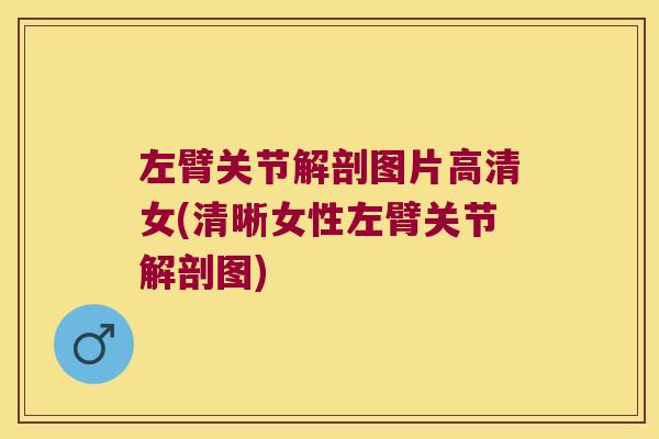 左臂关节解剖图片高清女(清晰女性左臂关节解剖图)