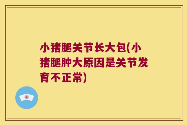 小猪腿关节长大包(小猪腿肿大原因是关节发育不正常)