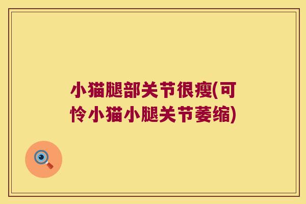 小猫腿部关节很瘦(可怜小猫小腿关节萎缩)
