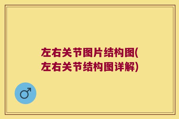 左右关节图片结构图(左右关节结构图详解)