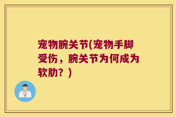 宠物腕关节(宠物手脚受伤,腕关节为何成为软肋?)