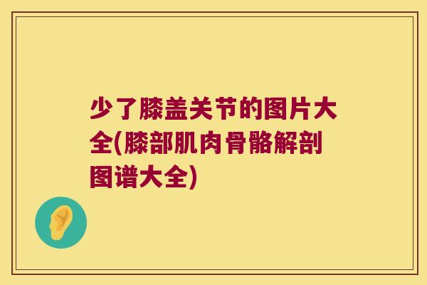 少了膝盖关节的图片大全(膝部肌肉骨骼解剖图谱大全)