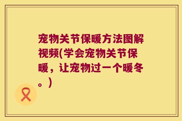 宠物关节保暖方法图解视频(学会宠物关节保暖,让宠物过一个暖冬。)
