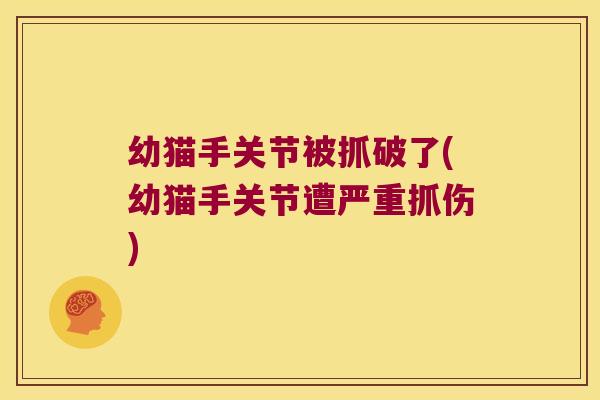 幼猫手关节被抓破了(幼猫手关节遭严重抓伤)