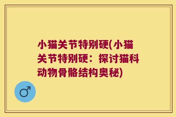 小猫关节特别硬(小猫关节特别硬:探讨猫科动物骨骼结构奥秘)