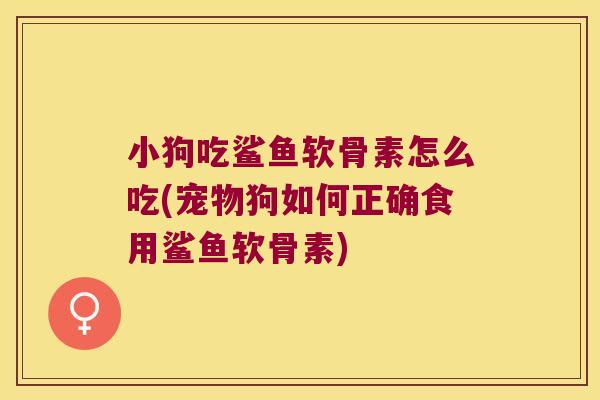 小狗吃鲨鱼软骨素怎么吃(宠物狗如何正确食用鲨鱼软骨素)