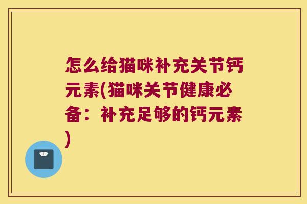 怎么给猫咪补充关节钙元素(猫咪关节健康必备：补充足够的钙元素)