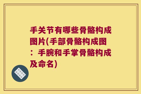 手关节有哪些骨骼构成图片(手部骨骼构成图:手腕和手掌骨骼构成及命名)