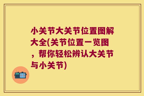 小关节大关节位置图解大全(关节位置一览图,帮你轻松辨认大关节与小关节)