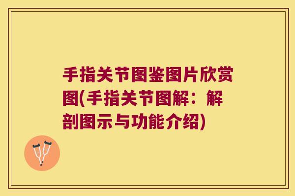 手指关节图鉴图片欣赏图(手指关节图解:解剖图示与功能介绍)