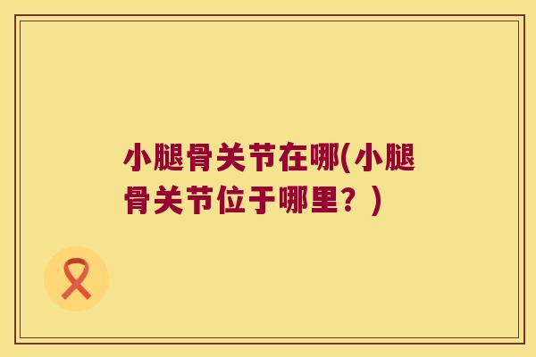 小腿骨关节在哪(小腿骨关节位于哪里?)