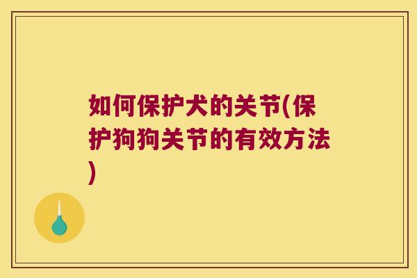 如何保护犬的关节(保护狗狗关节的有效方法)
