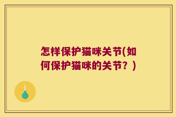 怎样保护猫咪关节(如何保护猫咪的关节?)