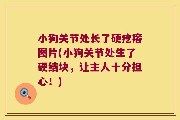 小狗关节处长了硬疙瘩图片(小狗关节处生了硬结块,让主人十分担心!)