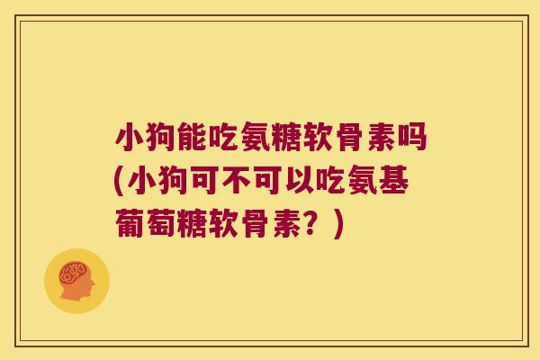 小狗能吃氨糖软骨素吗(小狗可不可以吃氨基葡萄糖软骨素?)