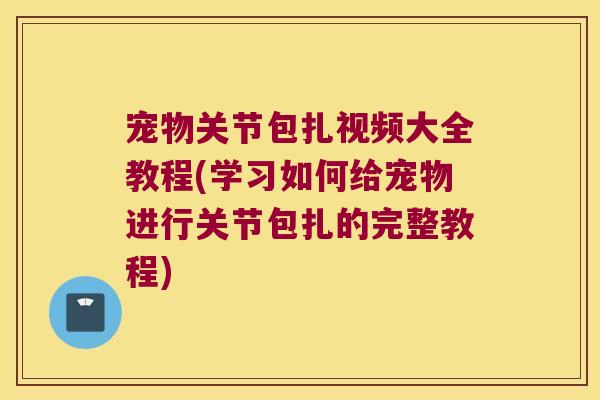 宠物关节包扎视频大全教程(学习如何给宠物进行关节包扎的完整教程)