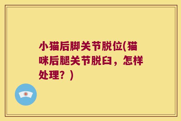 小猫后脚关节脱位(猫咪后腿关节脱臼,怎样处理?)