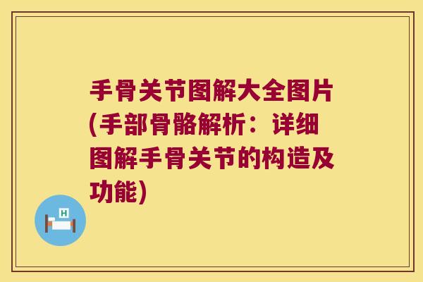 手骨关节图解大全图片(手部骨骼解析:详细图解手骨关节的构造及功能)